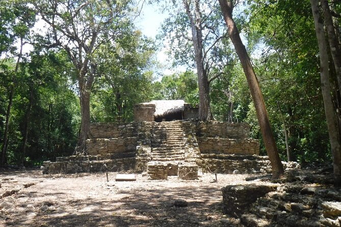 Muyil Ruins Tour (Private, Half Day) - What to Expect