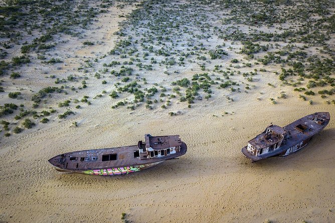 Muynak - Ship Cemetery Tour From Nukus - Inclusions