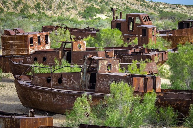 Muynak - Ship Cemetery Tour From Nukus - Accessibility