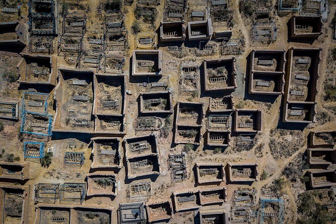 Muynak - Ship Cemetery Tour From Nukus - Traveler Suitability