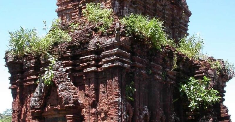 My Son Discovery Tour and Cruise Trip From Hoi An - Itinerary and Experience