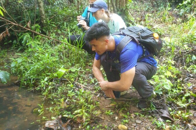 My Son sanctuary and mountain trekking - A Fully Immersive Itinerary