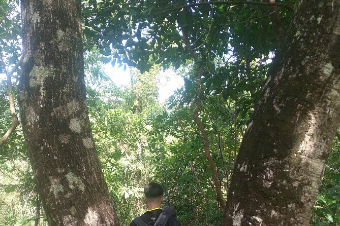 My Son sanctuary and mountain trekking - Potential Considerations