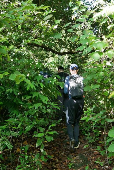 My Son Sanctuary and Mountain Trekking - Pilgrimage - About My Son Sanctuary