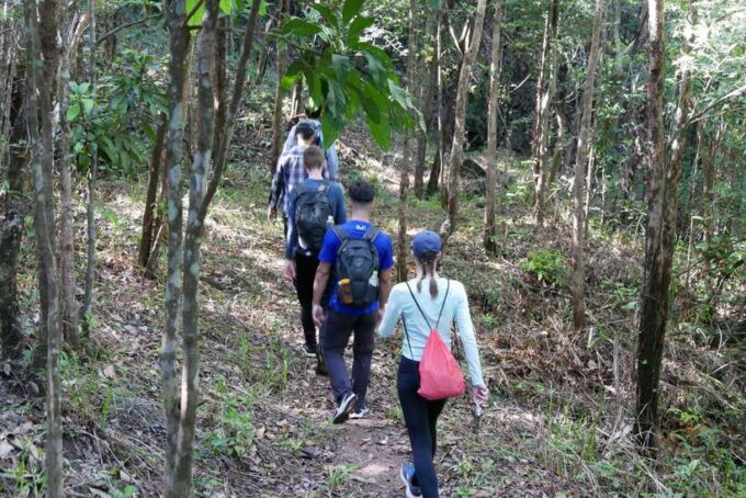 My Son Sanctuary and Mountain Trekking - Pilgrimage - The Jungles of Central Vietnam