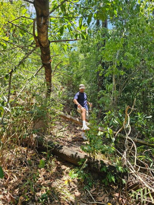 My Son Sanctuary and Mountain Trekking - Pilgrimage - What to Bring and Prepare