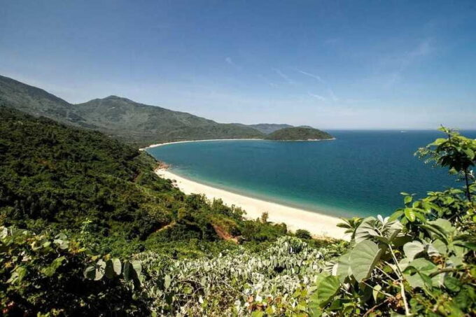 My Son Sanctuary & Hai Van Pass Transfer Hoi an To/From Hue - Since You Asked
