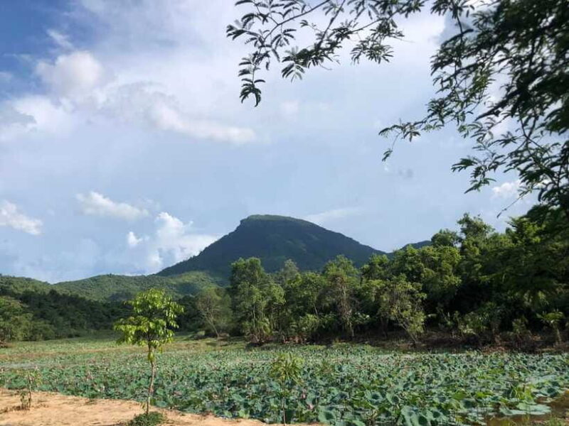 My Son Sanctuary & Marble Mountain Private Trip - Exploring My Son Sanctuary