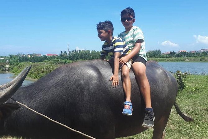 My Son Sanctuary Tour by Car & Hoi An Countryside Tour by Bicycle in One Day - Transportation and Logistics