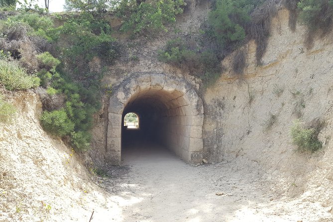 Mycenae and Ancient Nemea Private Tour From Corinth - Health and Safety Restrictions