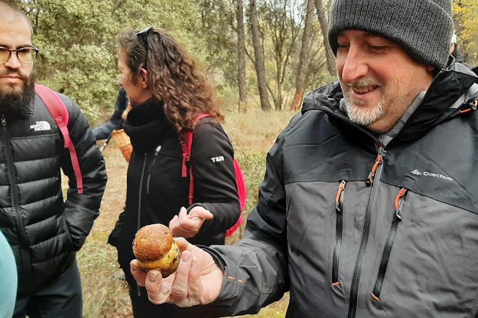 Mycology, Mushrooms and Fungi Route in Cuenca - Discovering Local Delicacies