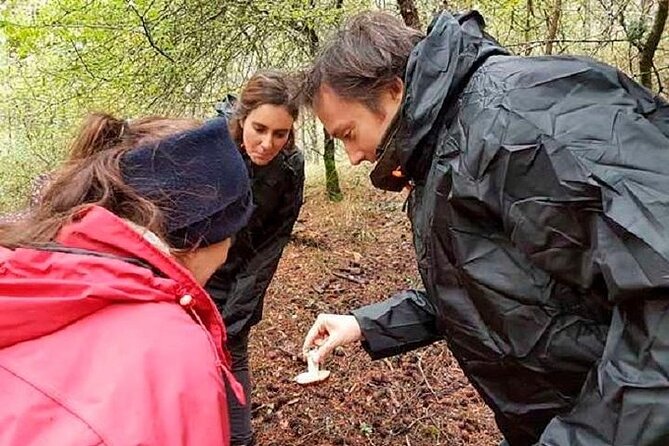 Mycology, Mushrooms and Fungi Route in Cuenca - Upcoming Mushroom Route Dates