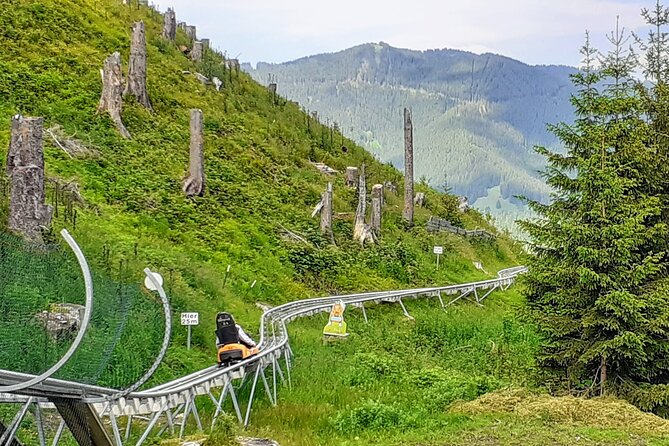 My*Guide EXCLUSIVE Neuschwanstein Castle Tour Incl. Tickets and ALPINE COASTER From Munich - Scenic Routes and Transfers
