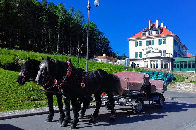 My*Guide EXCLUSIVE Neuschwanstein Tour Incl. TICKETS From Garmisch-Partenkirchen - Accessibility and Transport Options