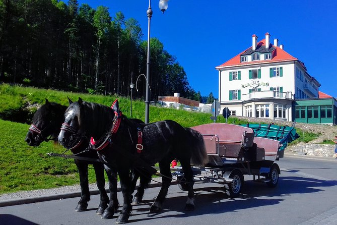 My*Guide the Kings GREATEST PALACES Neuschwanstein & HERRENCHIEMSEE From Munich - Customizing Your Experience