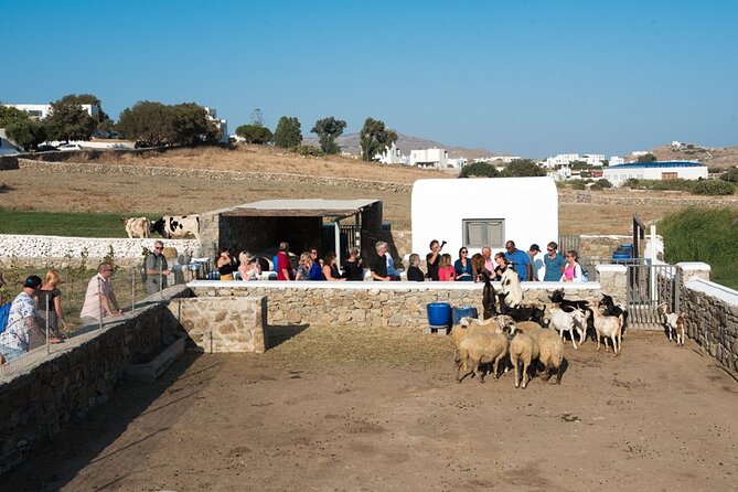 Mykonian Farm Entrance Ticket - About Your Stay
