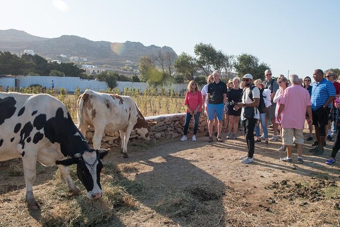 Mykonian Farm Entrance Ticket - Ticket Inclusions and Exclusions