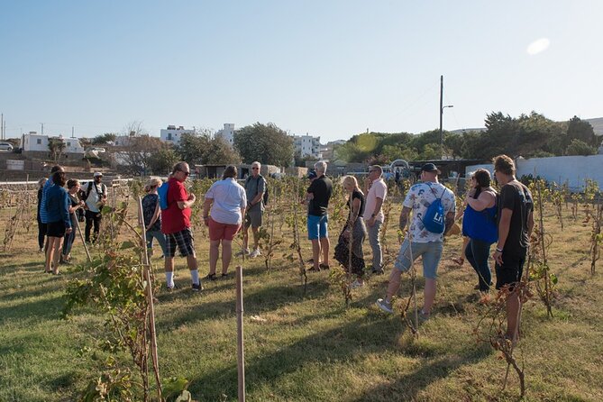 Mykonian Farm Entrance Ticket - Accessibility and Transportation