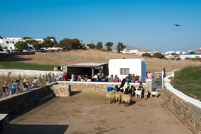 Mykonian Farm Entrance Ticket - Pricing and Cancellation Policy
