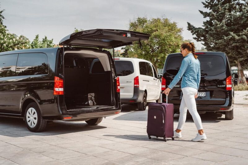 Mykonos: 12HOUR Tour With Private Chauffeur - Vehicle and Driver Information