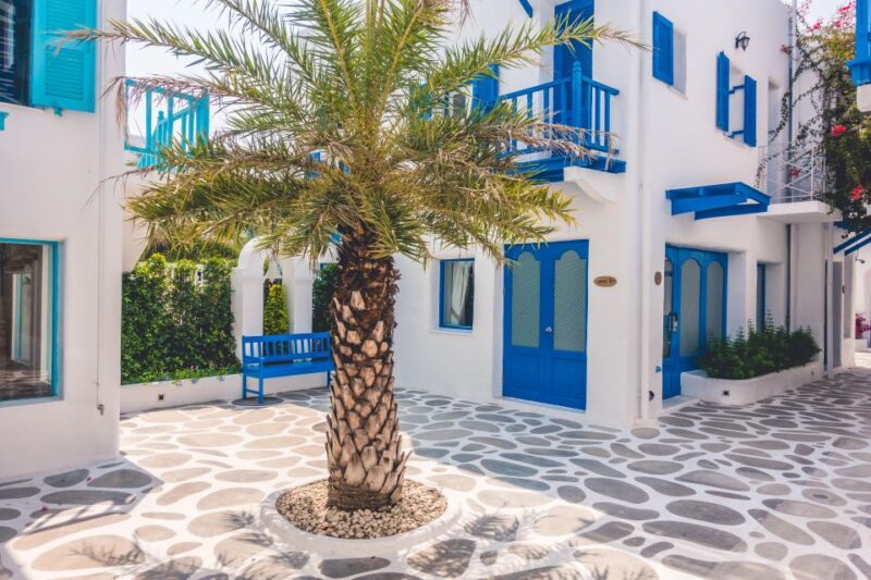 Mykonos Delight: a Perfect Day Trip From Your Cruise Ship - Included Amenities