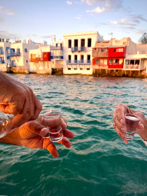 MYKONOS DELOS AND RHENIA ISLANDS PRIVATE FULL DAY CRUISE - Accessibility and Optional Extras