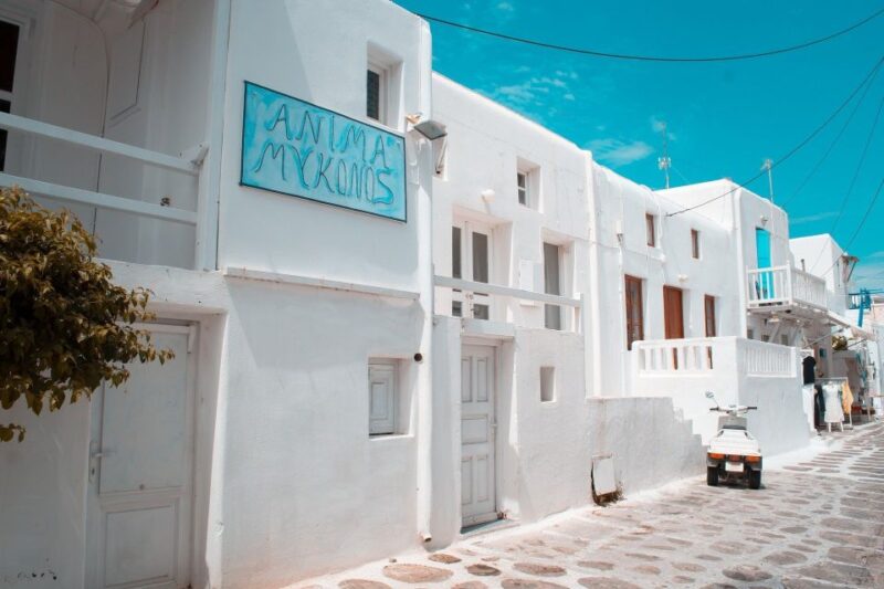 Mykonos: Delos and the City Walking Tour - Delos Archaeological Site