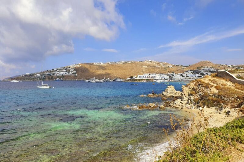 Mykonos: Full-Day South Coast Cruise - Visiting Dragonissi Island