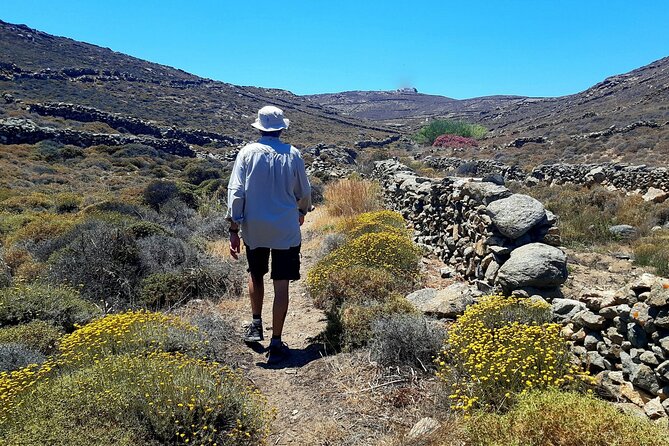Mykonos Half-Day Hiking Adventure - Homemade Treats and Organic Lemonade