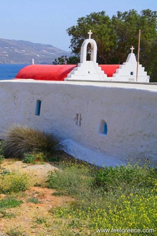 Mykonos: Half Day Tour in a Luxury Van - Itinerary Highlights