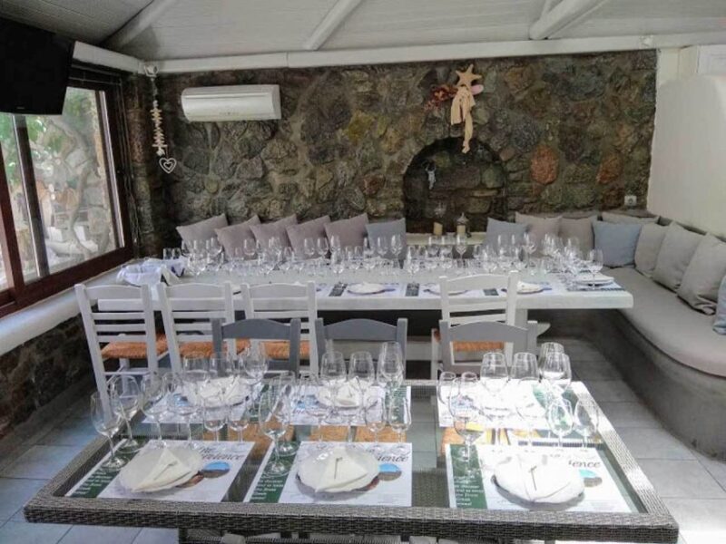 Mykonos: Half-Day Wine Tasting and Snack at a Local House - An Exclusive Mykonian Home Experience