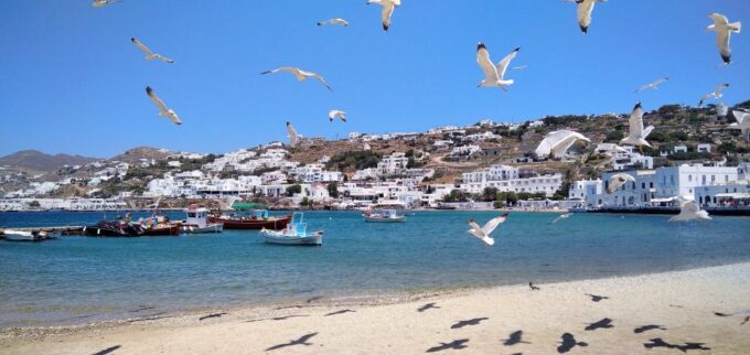 Mykonos: Highlights Tour With Panagia Tourliani Monastery - Frequently Asked Questions