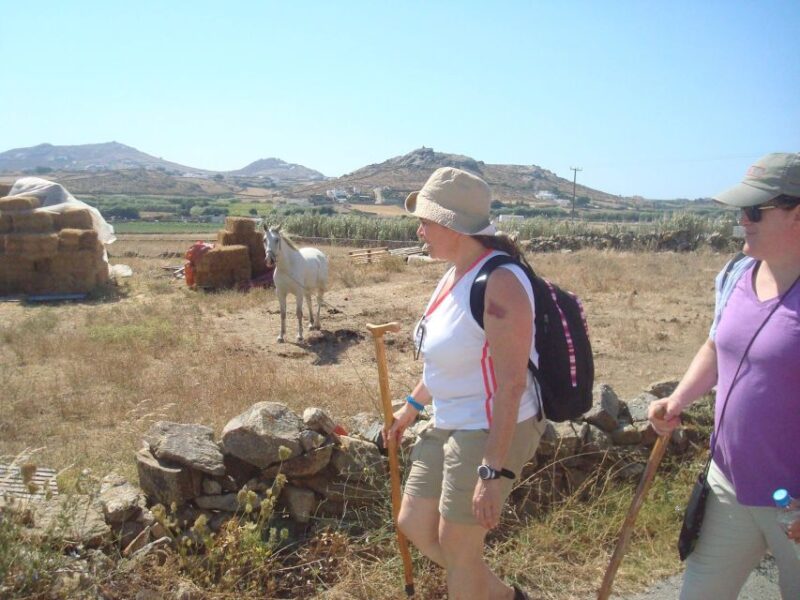 Mykonos Hiking Adventure - Itinerary and Route