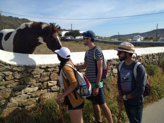 Mykonos Hiking Adventure - Important Considerations