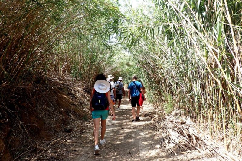 Mykonos off the Beaten Path Hiking Tour - Itinerary Highlights