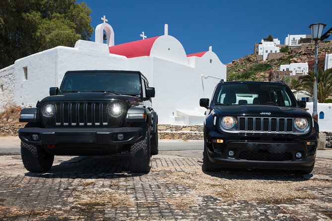 Mykonos Private Authentic Tour - Customer Experiences