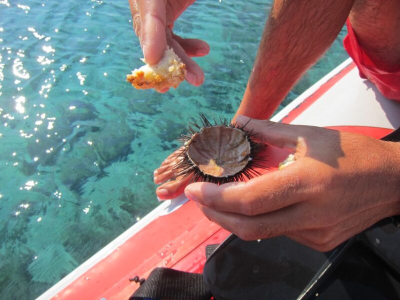 Mykonos: Private Boat Trip and Snorkeling Sea Safari - Highlights of the Excursion