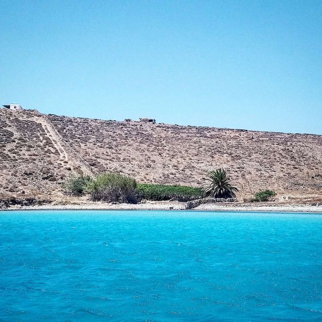 Mykonos: Private Delos and Rhenia 6hrs Cruise With Lunch - Exploring Delos Island