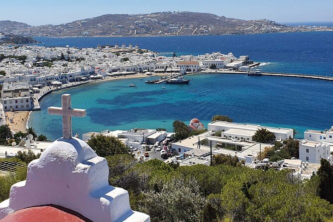 Mykonos Private Island Tour - Schedule and Accessibility