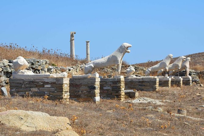Mykonos Shore Excursion: Private Tour to Delos Island - Inclusions and Exclusions