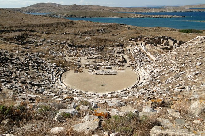 Mykonos Shore Excursion: Private Tour to Delos Island - Guest Reviews and Ratings