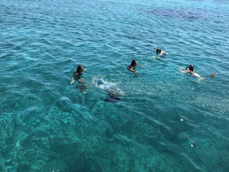 Mykonos: South Beaches & Rhenia Yacht Cruise With Transfers - Important Considerations