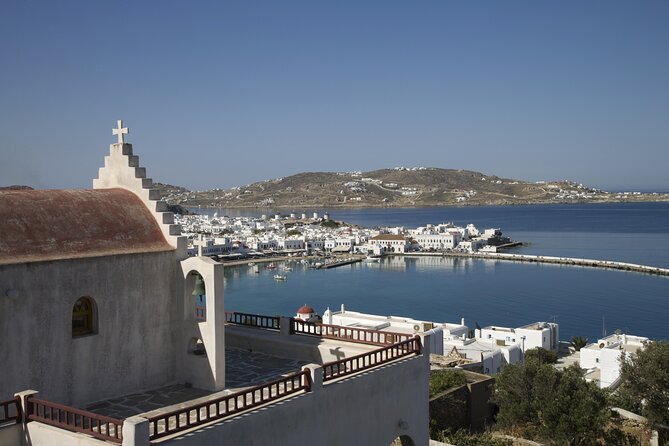 Mykonos South Coast Cruise With Lunch - Accessibility Details