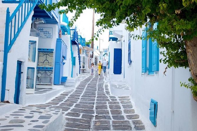 Mykonos Town and Island Half-Day Tour - Tour Itinerary and Stops