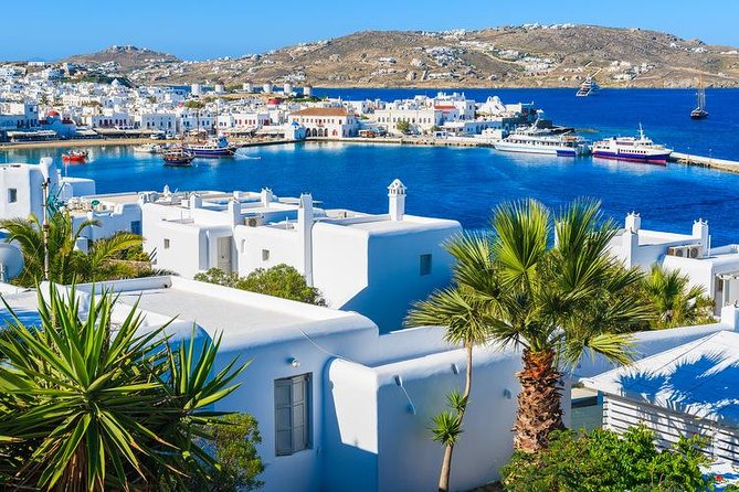 Mykonos Town and Island Half-Day Tour - Additional Information and Policies