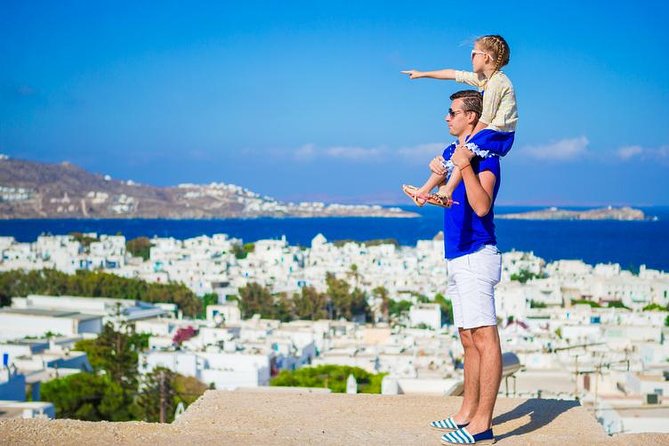 Mykonos Town and Island Half-Day Tour - Traveler Reviews and Feedback