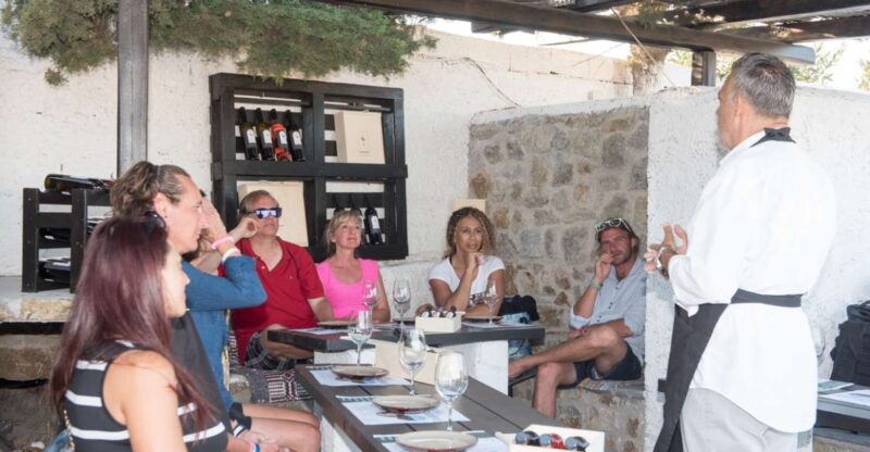 Mykonos: Wine Tasting at a Mykonian Farm - Suitability and Participant Limitations