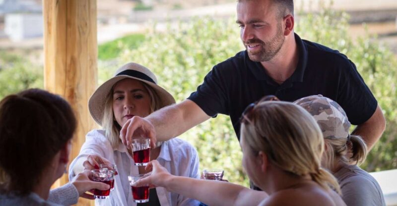 Mykonos: Winery Vineyard Experience With Food & Wine Tasting - Traditional Wine Production Insights