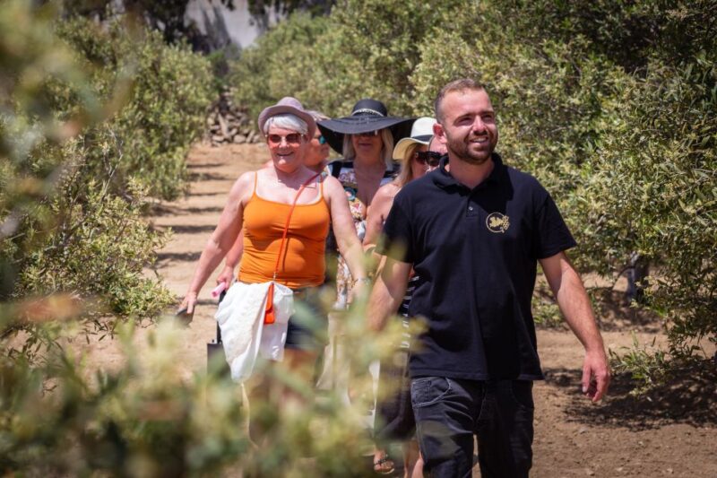 Mykonos: Winery Vineyard Experience With Food & Wine Tasting - Live Music and Ambiance