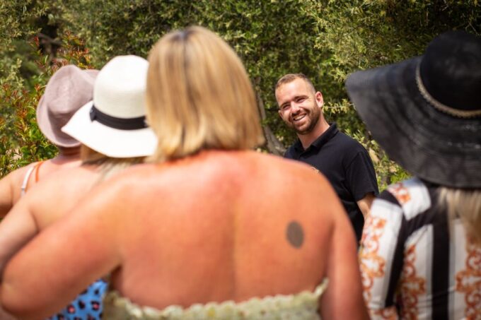 Mykonos: Winery Vineyard Experience With Food & Wine Tasting - Tour Highlights and Feedback